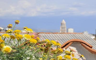 Double Room 2 Double Room 2