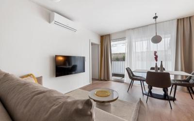 One-Bedroom Apartment 2