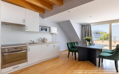 Apartment with Terrace 3