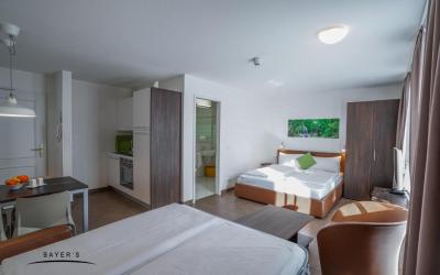 Studio Apartment 1 Studio Apartment 1