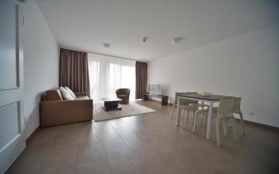 Deluxe One-Bedroom Apartment 3 Deluxe One-Bedroom Apartment 3