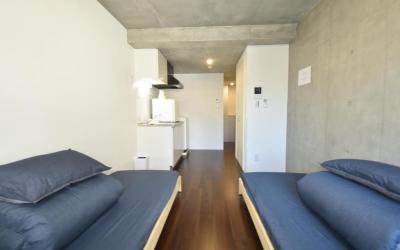 One-Bedroom Apartment 2