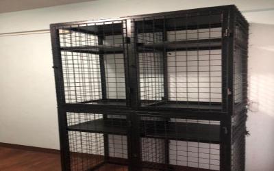 Bed in 4-Bed Female Dormitory Room 6