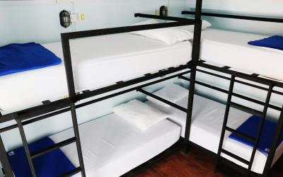 Bed in 4-Bed Mixed Dormitory Room 7