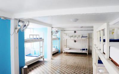 Bed in 8-Bed Mixed Dormitory Room 8