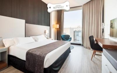 Standard Double Room Pet Friendly 6 Standard Double Room Pet Friendly 6