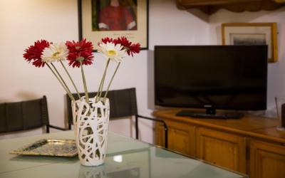 AlohaMundi Conteros 6