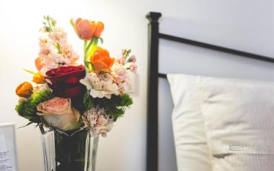 Al centro di Roma 8 Al centro di Roma 8