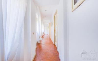 Al centro di Roma 5 Al centro di Roma 5