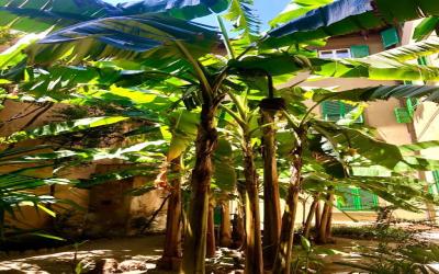 Charming and Elegant Residence in Florence 8