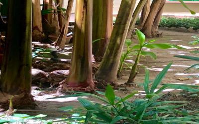 Charming and Elegant Residence in Florence 4