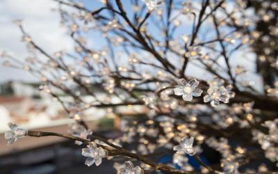 room007 Lisboa Hostel 3 room007 Lisboa Hostel 3