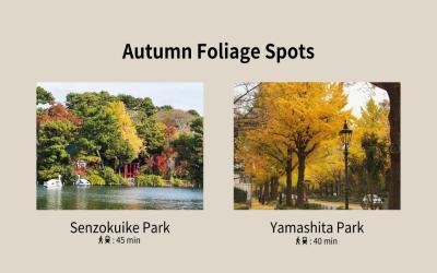 MINI HOUSE Tokyo South 10 MINI HOUSE Tokyo South 10