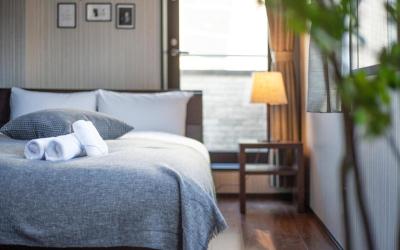 Calm Asakusa Kaminarimon Gate CLx 6 Calm Asakusa Kaminarimon Gate CLx 6