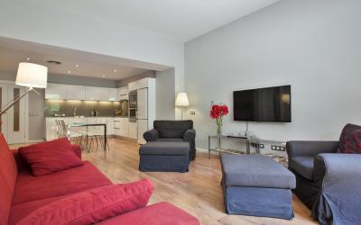 Bonavista Apartments - Passeig de Gracia 6 Bonavista Apartments - Passeig de Gracia 6