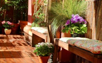 Hostal Poblenou 8 Hostal Poblenou 8