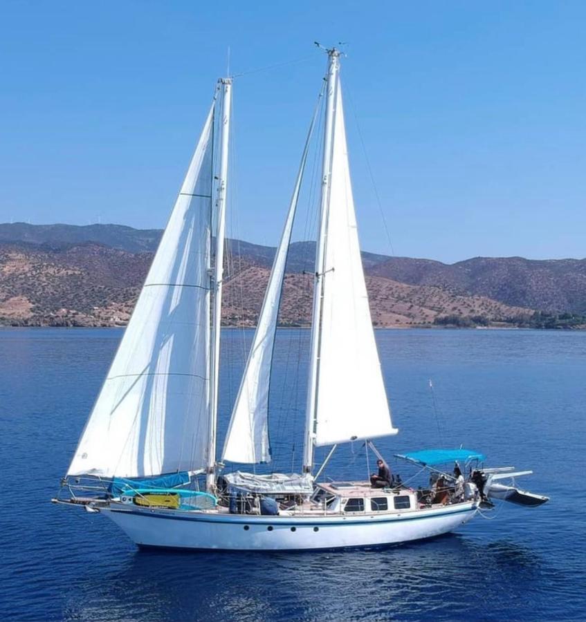 Fantástico velero en Barcelona 10 Fantástico velero en Barcelona 10