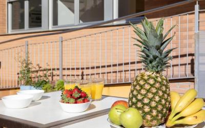 Lets Holidays Terrace Barcelona 9 Lets Holidays Terrace Barcelona 9