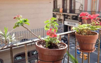 Apart céntrico con terraza en Gracia 2 Apart céntrico con terraza en Gracia 2