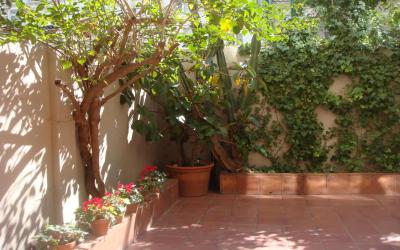 Suitur Courtyard Apartment 8 Suitur Courtyard Apartment 8