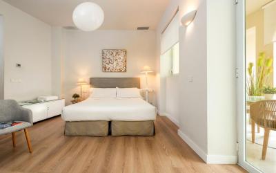 Suites Sevilla Plaza 5 Suites Sevilla Plaza 5