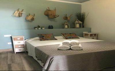 MONNA FLATS Arenal 1 10 MONNA FLATS Arenal 1 10