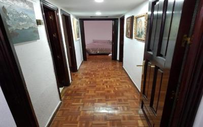 Apartamento zona Palacio de las Dueñas y las Setas 8 Apartamento zona Palacio de las Dueñas y las Setas 8