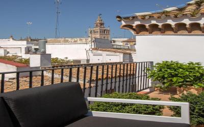 Pimienta 9- Santa Cruz Luxury by Valcambre 5 Pimienta 9- Santa Cruz Luxury by Valcambre 5