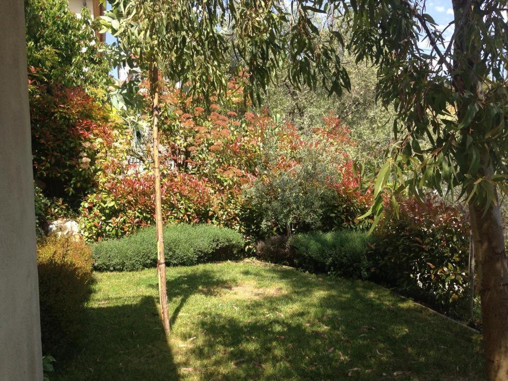 Villa 5* Nice St Pancrace 6 Villa 5* Nice St Pancrace 6