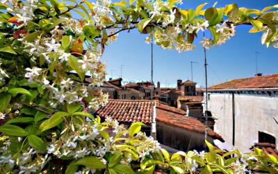Ca' San Giorgio B&B 2 Ca' San Giorgio B&B 2