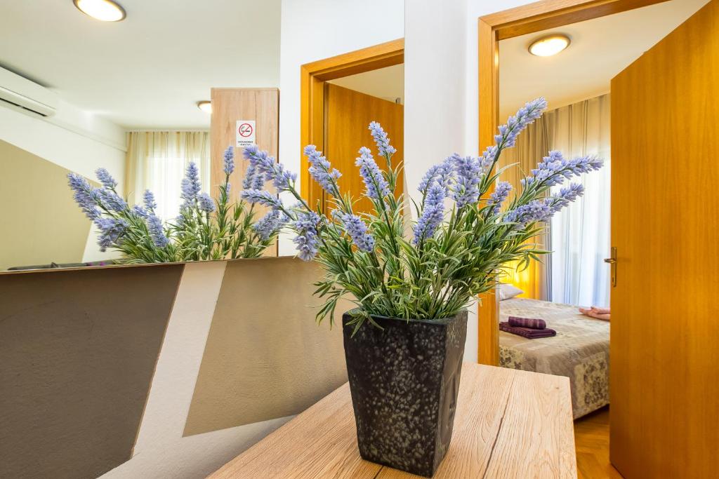 Guesthouse Teta Palmina 9 Guesthouse Teta Palmina 9