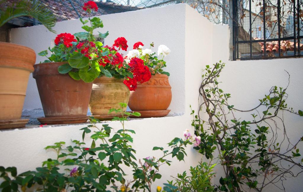 Rooms Split Pezelj 5 Rooms Split Pezelj 5