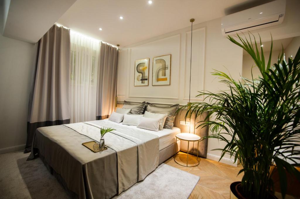 Club boutique rooms 9 Club boutique rooms 9