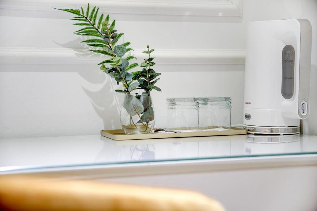 Club boutique rooms 8 Club boutique rooms 8