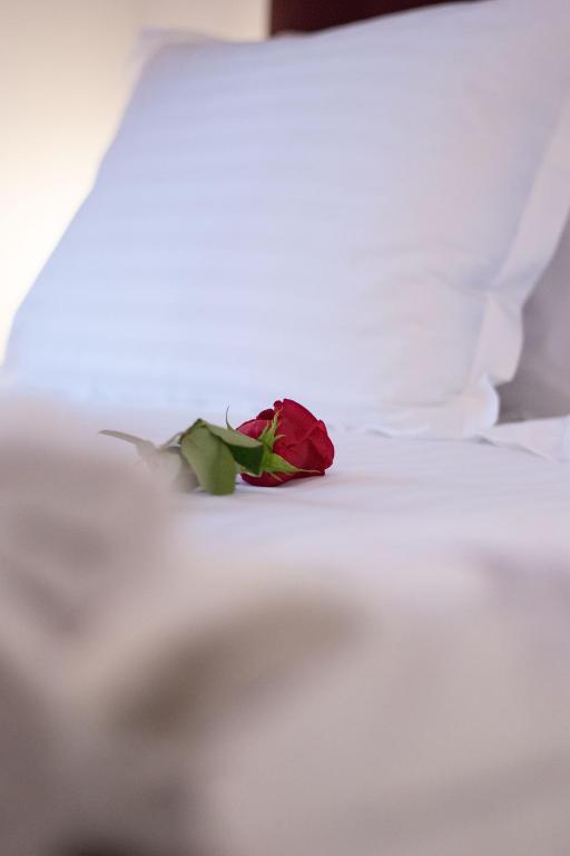 Center Luxury Rooms 2 8 Center Luxury Rooms 2 8