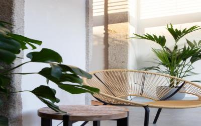Trindade Premium Suites & Apartments 4 Trindade Premium Suites & Apartments 4