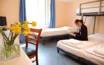 Pegasus Hostel Berlin 7 Pegasus Hostel Berlin 7