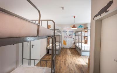 Sunflower Hostel Berlin 8 Sunflower Hostel Berlin 8