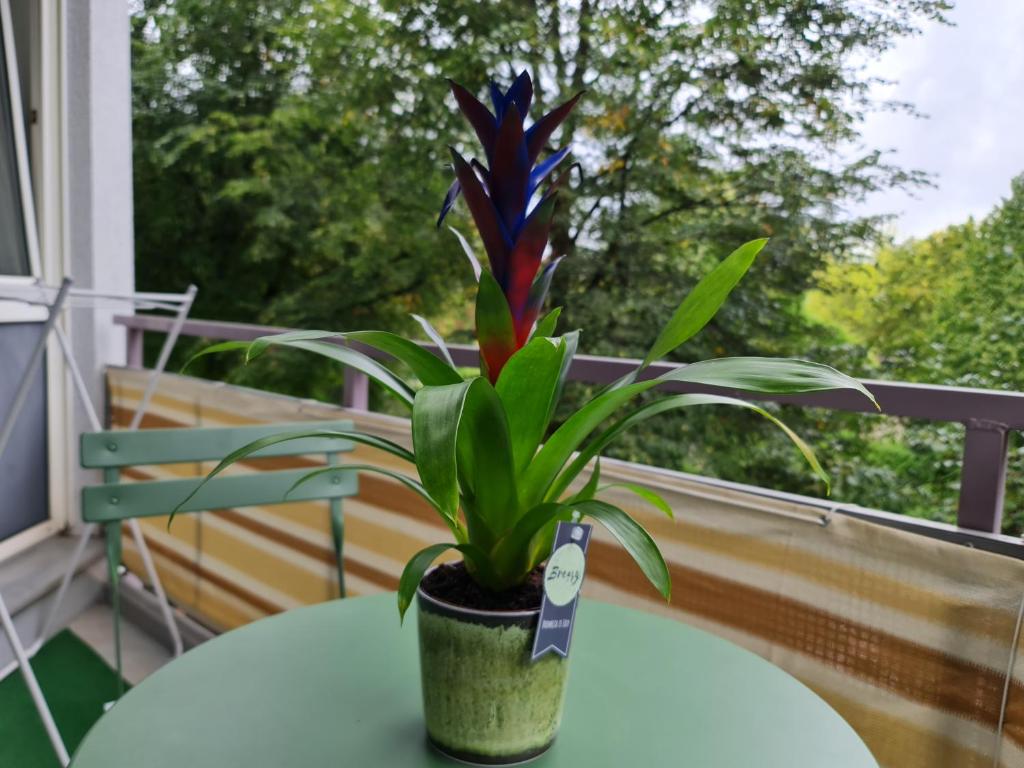 City Appartement am Olympiapark 10 City Appartement am Olympiapark 10