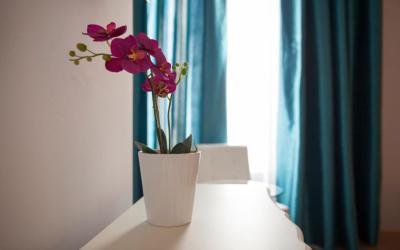 Umma Barcelona B&B Boutique 3 Umma Barcelona B&B Boutique 3