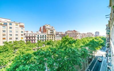 GRANVIA732 10 GRANVIA732 10