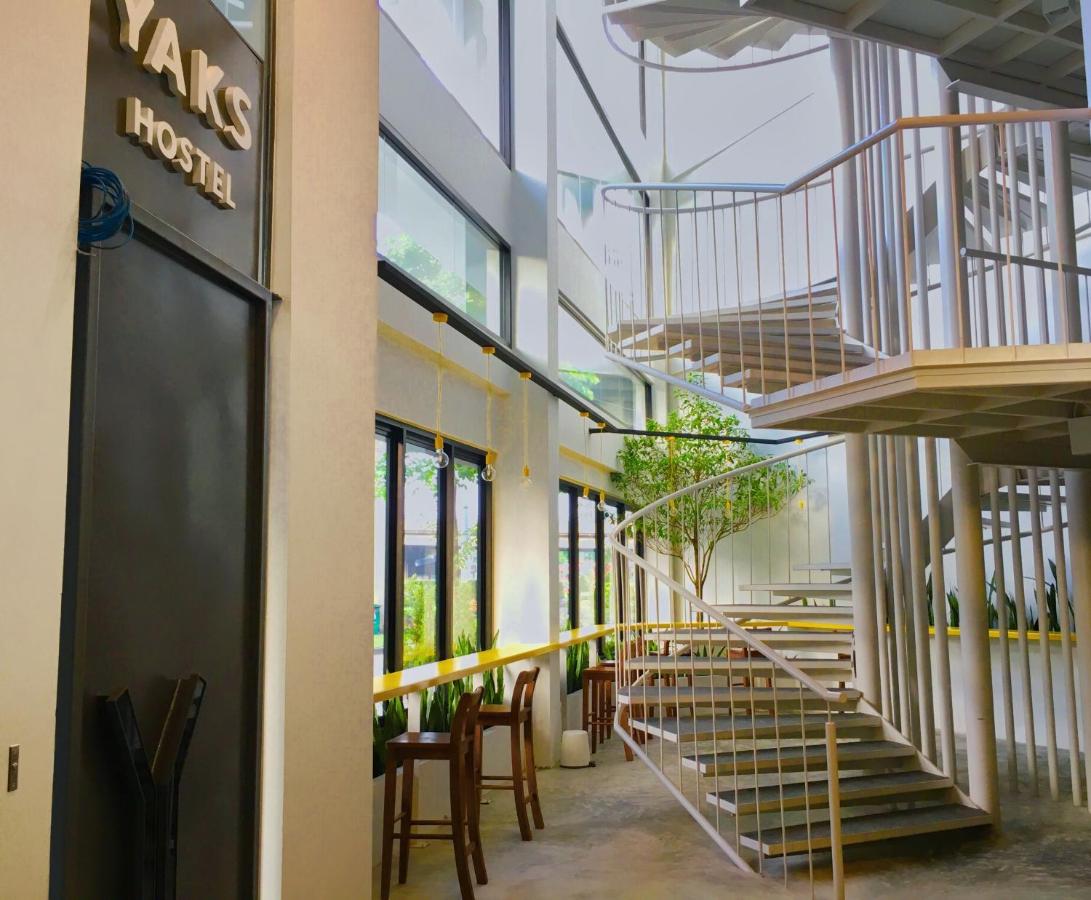 Yaks House Hostel 4 Yaks House Hostel 4