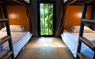 Comfy Bed Hostel 3 Comfy Bed Hostel 3