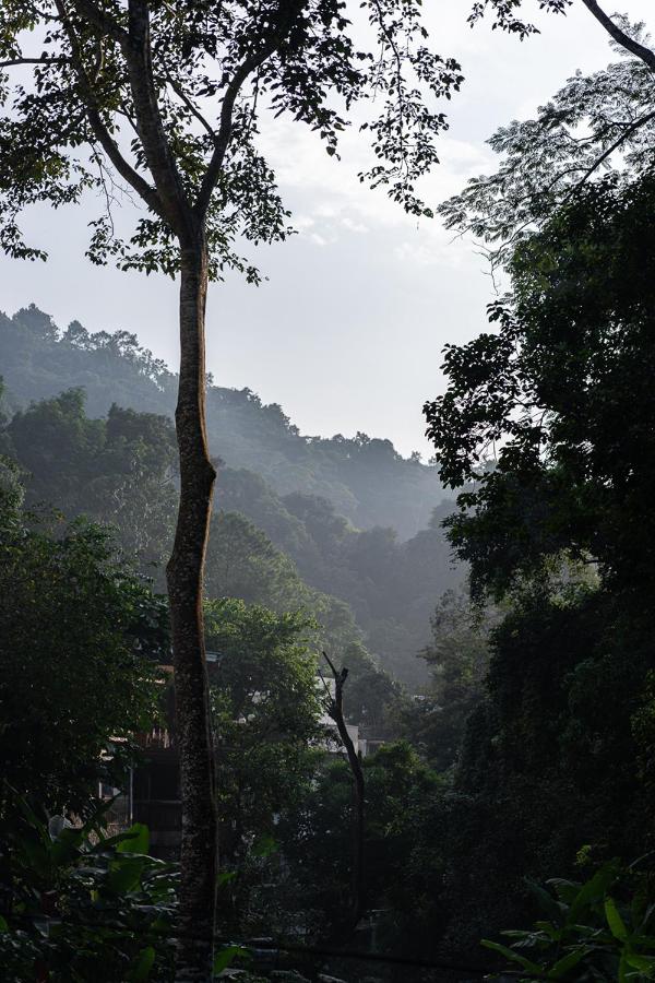 Inthada At Mae Kampong 8 Inthada At Mae Kampong 8