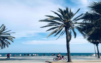 RAMBLA BEACH Barcelonastuff Apartments 2 RAMBLA BEACH Barcelonastuff Apartments 2